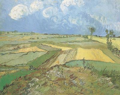 Vincent Van Gogh Wheat Fields at Auvers under Clouded Sky (nn04) China oil painting art